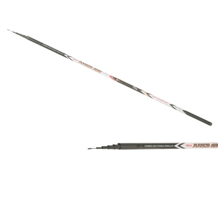 FIL FISHING ARES POLE 5,0M